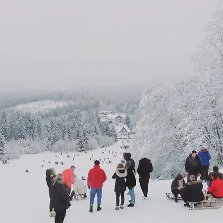 Apartment Chic In Winterberg